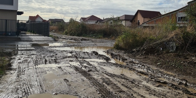 Amenzi pentru constructorii din Timișoara care murdăresc străzile