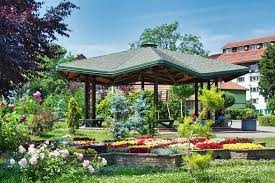 Arborii din Parcul Botanic au fost introduși în Registrul Verde al Timișoarei! Sunt peste 2.000