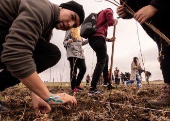 10.000 de copaci, plantați în comuna Otelec, în weekend