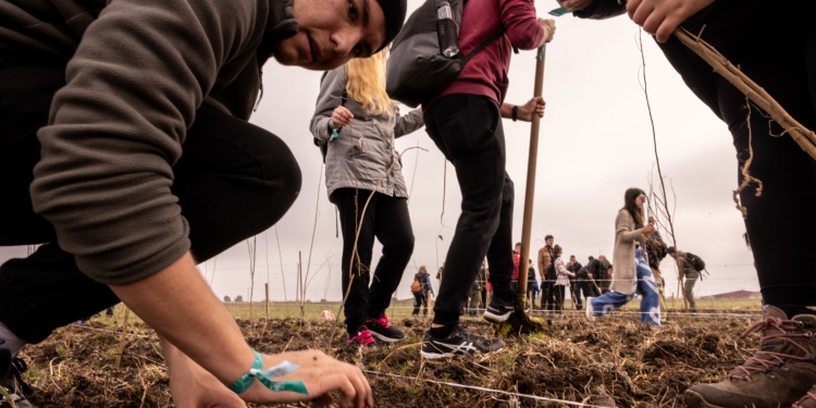 10.000 de copaci, plantați în comuna Otelec, în weekend