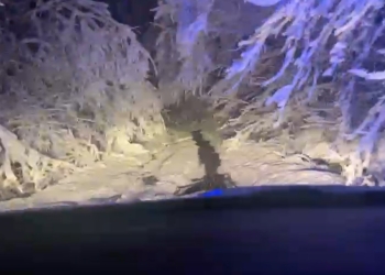 Trei copii și părinții lor, blocați în adevărate tuneluri de zăpadă, în vestul țării! Au fost salvați de jandarmii cărășeni