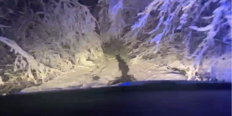 Trei copii și părinții lor, blocați în adevărate tuneluri de zăpadă, în vestul țării! Au fost salvați de jandarmii cărășeni