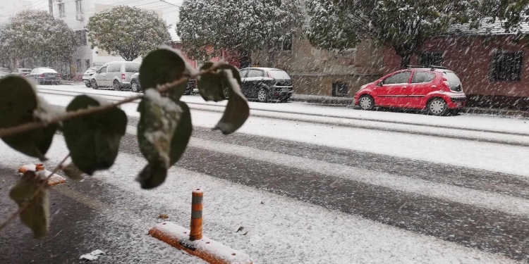 Timișoara s-a colorat în alb! Prima zăpadă din acest sezon FOTO