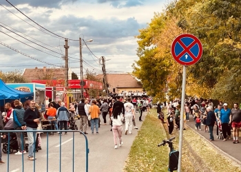 Managerii de cartiere din Timișoara, liant între comunitate și autorități. Cartierul Plopi, un exemplu