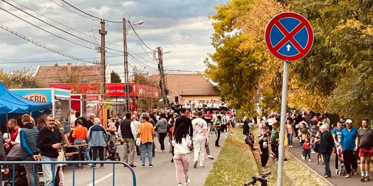 Managerii de cartiere din Timișoara, liant între comunitate și autorități. Cartierul Plopi, un exemplu