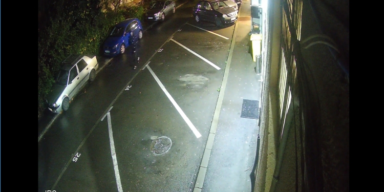 Alertă în Timiș! Este căutat un bărbat care ar fi înjunghiat două persoane, tată și fiu!