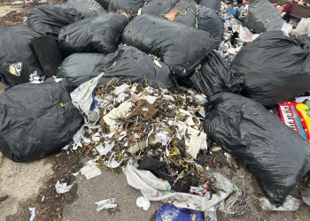 Amendă de 12.000 euro pentru o firmă care a aruncat un morman de gunoaie, la Timișoara