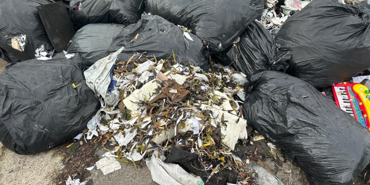 Amendă de 12.000 euro pentru o firmă care a aruncat un morman de gunoaie, la Timișoara