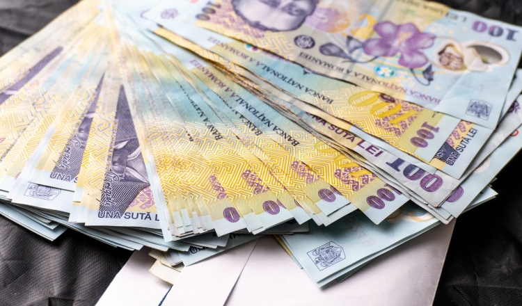 Taxele și impozitele locale în Timișoara pe anul 2024, aprobate