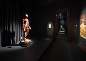 Peste 100.000 de rezervări la expoziția Brâncuși din Timișoara