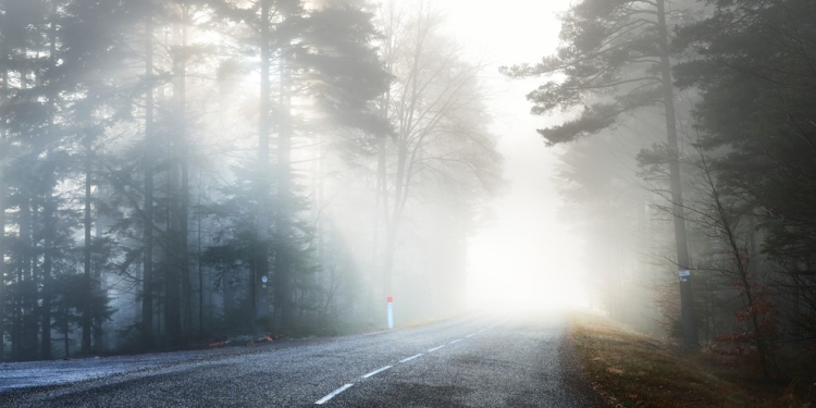 Șoferi, aveți grijă cum conduceți! Cod galben de ceață în vestul țării