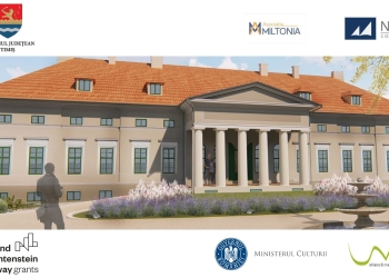 Lucrări murale pe fațadele unor clădiri din jurul Conacului Mocioni. Se caută artiști