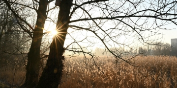 Început de februarie cu vreme caldă în Banat. Vezi prognoza meteo