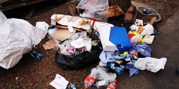 Amendă usturătoare, de 30.000 lei, pentru gunoaie aruncate în zona centrală a Timișoarei