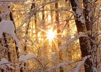 Vreme oscilantă în Banat, în următoarele două săptămâni. Vezi prognoza meteo