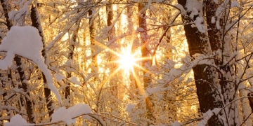 Vreme oscilantă în Banat, în următoarele două săptămâni. Vezi prognoza meteo