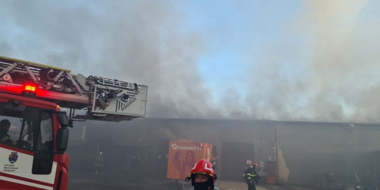 Incendiu uriaș la Hodoni, în Timiș. Zeci de pompieri au fost trimiși să intervină