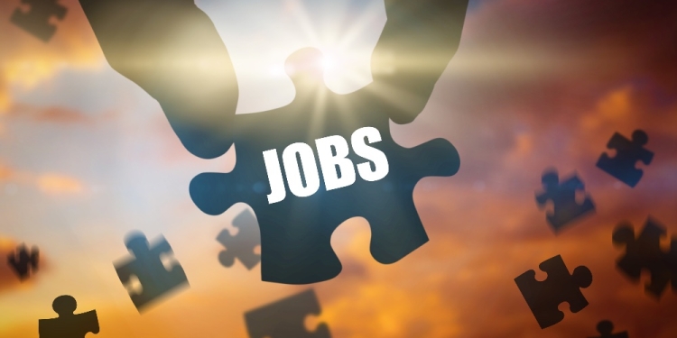 Timișul, în topul județelor în care s-au făcut cele mai multe angajări la începutul anului 2024