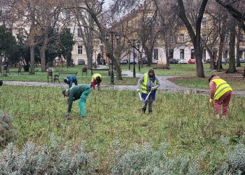Horticultura a început să pună la punct Parcul Civic din Timișoara