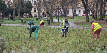 Horticultura a început să pună la punct Parcul Civic din Timișoara