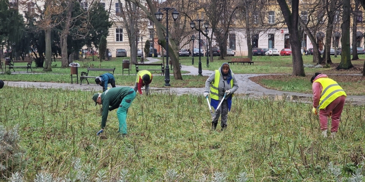 Horticultura a început să pună la punct Parcul Civic din Timișoara