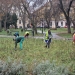 Horticultura a început să pună la punct Parcul Civic din Timișoara