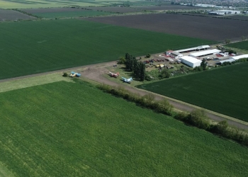 Timișenii pot primi mai ușor terenurile în baza Legii fondului funciar