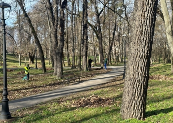 Spațiile verzi din Timișoara, curățate de gunoaie și resturi vegetale