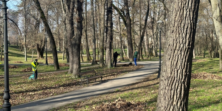 Spațiile verzi din Timișoara, curățate de gunoaie și resturi vegetale