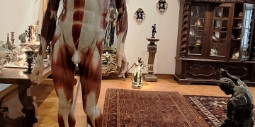 Lucrare a lui Brâncuși, în continuare de văzut, la Timișoara