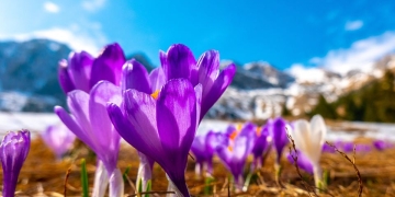 Vreme caldă și în următoarele două săptămâni, în Banat