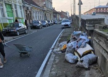Nesimțirea se plătește scump, la Timișoara! Zece saci cu gunoaie, aruncați pe un bulevard important