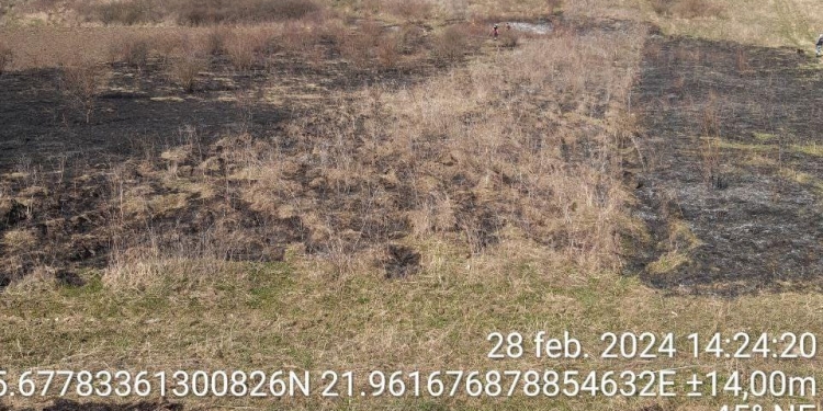 Intervenție dificilă! Incendiu de pășune, stins în patru ore de pompierii din Timiș