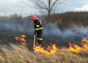 ISU Timiș: Amenzi usturătoare pentru arderea vegetației uscate