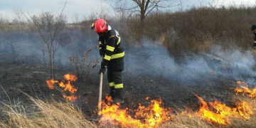 ISU Timiș: Amenzi usturătoare pentru arderea vegetației uscate