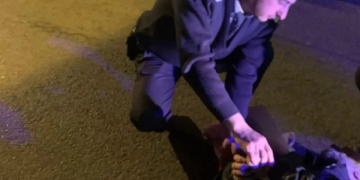 Bărbat căruia i s-a făcut rău pe stradă, salvat de un jandarm, la Timișoara