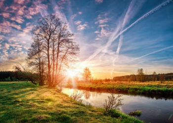 Vreme extrem de caldă la sfârșit de iarnă, în Banat