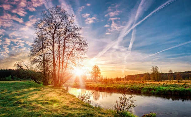 Vreme extrem de caldă la sfârșit de iarnă, în Banat