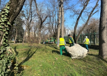 Cum păstrezi orașul, așa îl ai! 50 de tone de deșeuri adunate doar din spațiile verzi din Timișoara, în mai puțin de o lună