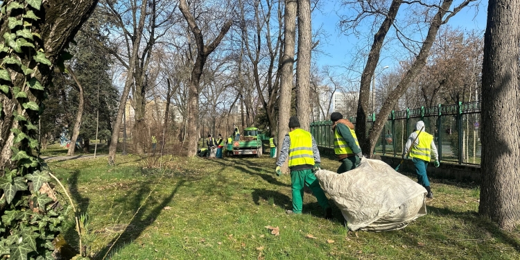 Cum păstrezi orașul, așa îl ai! 50 de tone de deșeuri adunate doar din spațiile verzi din Timișoara, în mai puțin de o lună