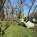 Cum păstrezi orașul, așa îl ai! 50 de tone de deșeuri adunate doar din spațiile verzi din Timișoara, în mai puțin de o lună