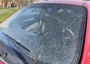 Fenomen meteo rar, la Timișoara! Ploaie murdară