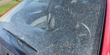 Fenomen meteo rar, la Timișoara! Ploaie murdară