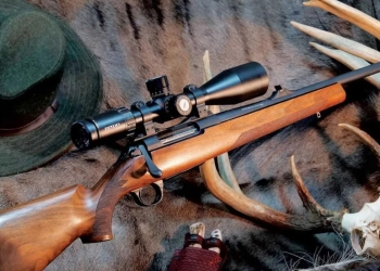 Un bărbat din Timiș și-a amenințat vecina cu arma și a fost dus la Psihiatrie