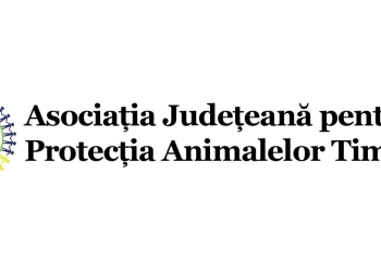 Alexandru Iovescu, consilier județean PSD: „În mai puțin de o lună vom avea înființată Asociația Județeană pentru Protecția Animalelor Timiș!”