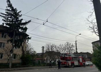 Un brad a fost doborât de vântul puternic, la Timișoara