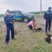 14 cățeluși abandonați pe un câmp, salvați de polițiștii din Timiș