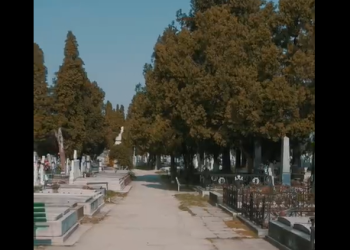 Primarul Fritz: E curățenie în cimitirul din Calea Șagului