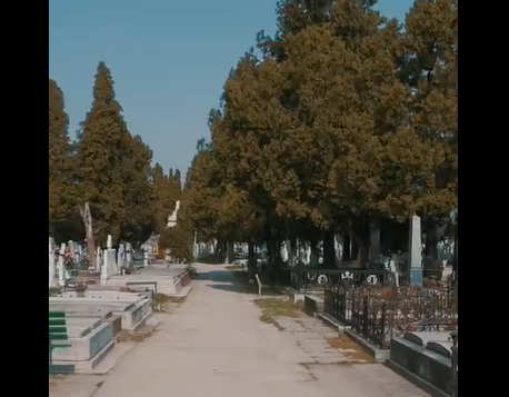 Primarul Fritz: E curățenie în cimitirul din Calea Șagului