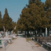 Primarul Fritz: E curățenie în cimitirul din Calea Șagului